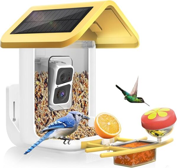 Bird Feeder with Camera Solar Powered