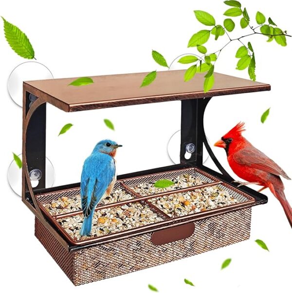 Window Bird Feeder with Strong Suction Cups